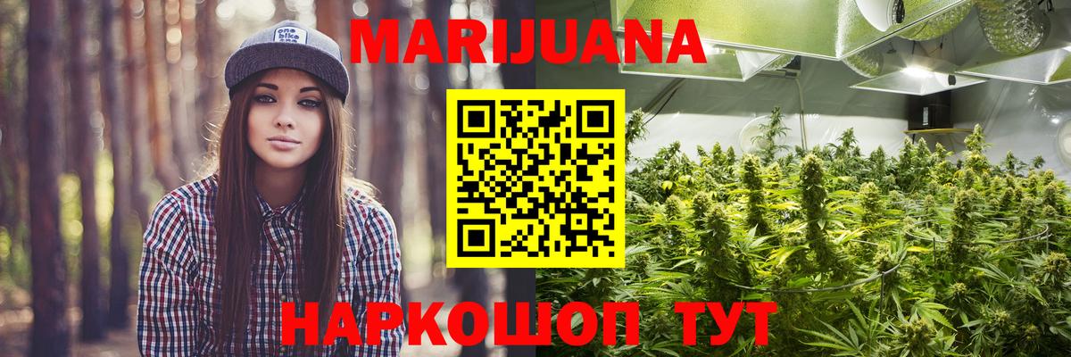 Бошки Шишки гибрид Кузнецк